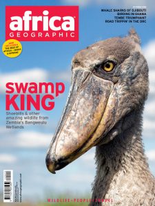 Kapotwe Shoebill Africa Geographic Cover