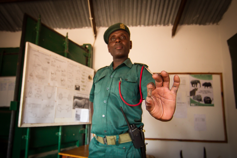 Tizola Moyo holds a poacher's bullet