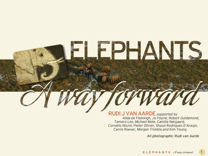 Elephants: a way forward