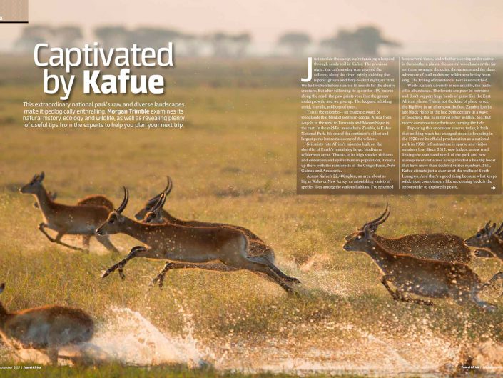 Captivated by Kafue